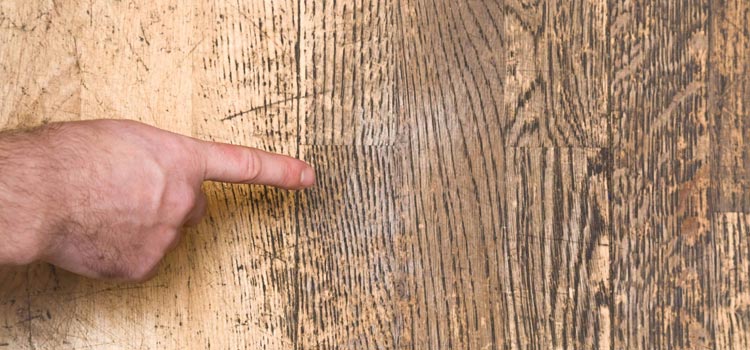 Wood Door Scratch Repair in Long Beach